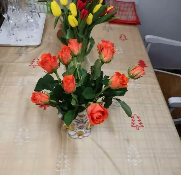 Majatalo Rose