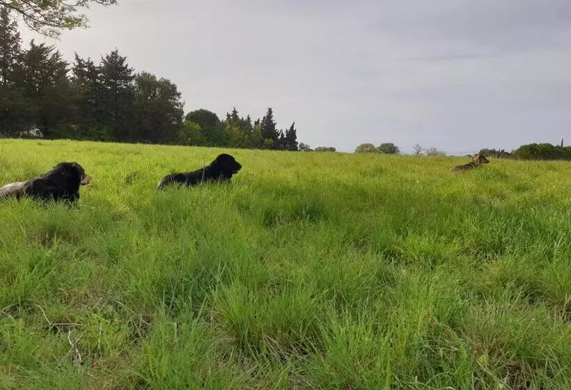Aamiaismajoitus (B&B) Chambres D Hôtes Dans Propriété Rurale