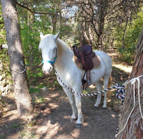 تختخواب و صبحانه Chambres D Hôtes Dans Propriété Rurale