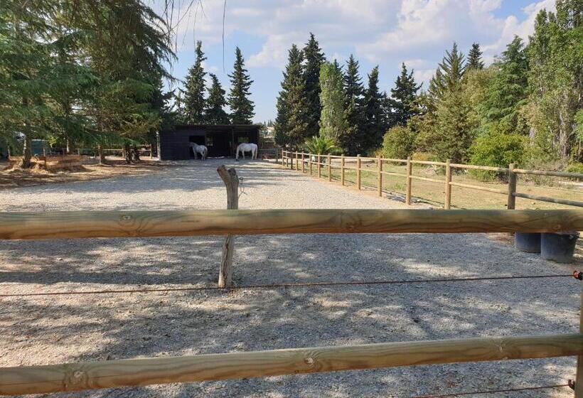 تختخواب و صبحانه Chambres D Hôtes Dans Propriété Rurale