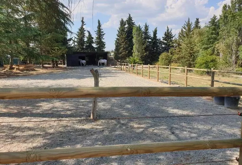 Aamiaismajoitus (B&B) Chambres D Hôtes Dans Propriété Rurale