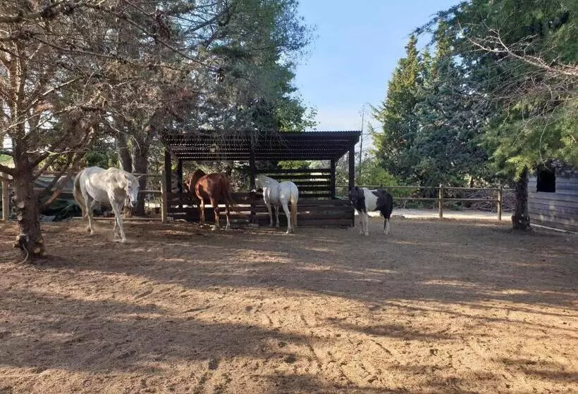 Aamiaismajoitus (B&B) Chambres D Hôtes Dans Propriété Rurale