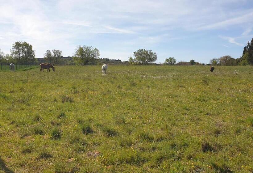 تختخواب و صبحانه Chambres D Hôtes Dans Propriété Rurale