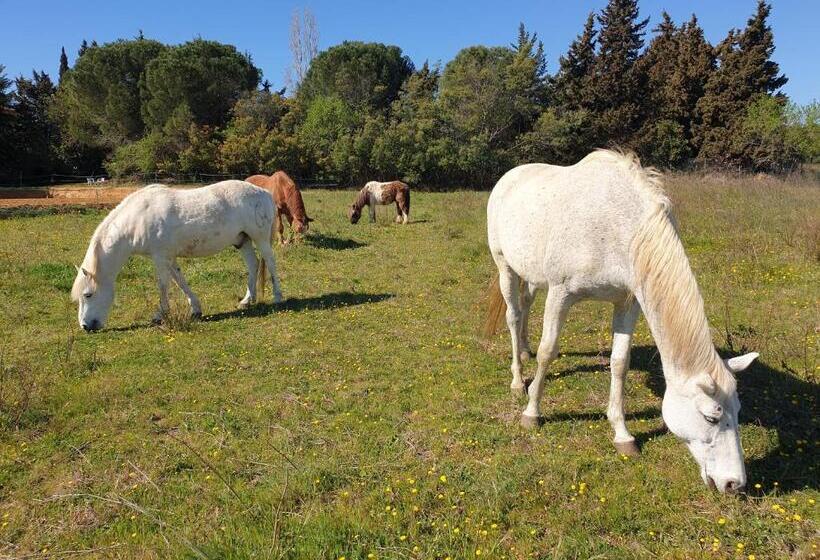 تختخواب و صبحانه Chambres D Hôtes Dans Propriété Rurale