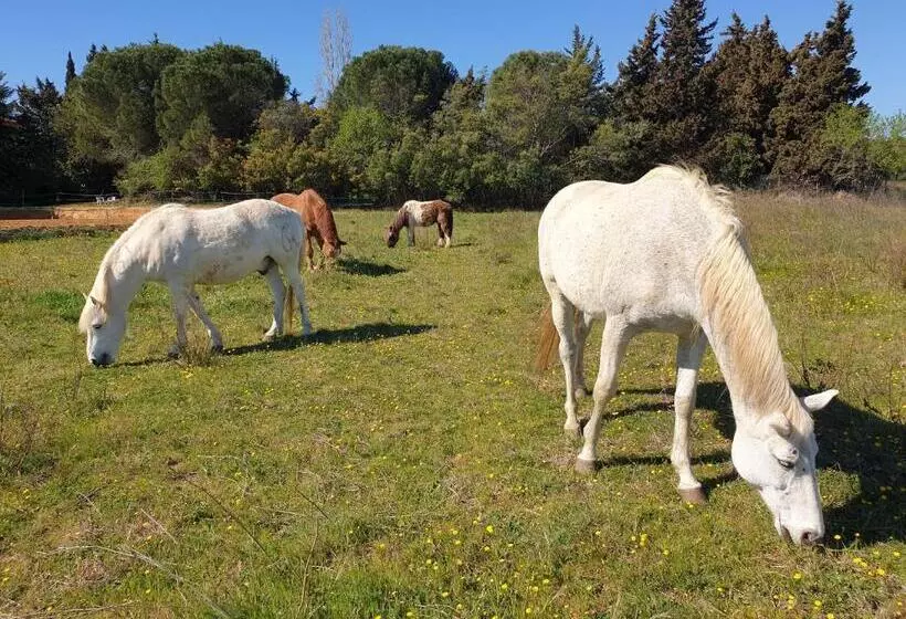 Aamiaismajoitus (B&B) Chambres D Hôtes Dans Propriété Rurale