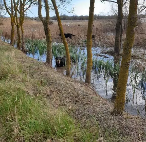 Aamiaismajoitus (B&B) Chambres D Hôtes Dans Propriété Rurale