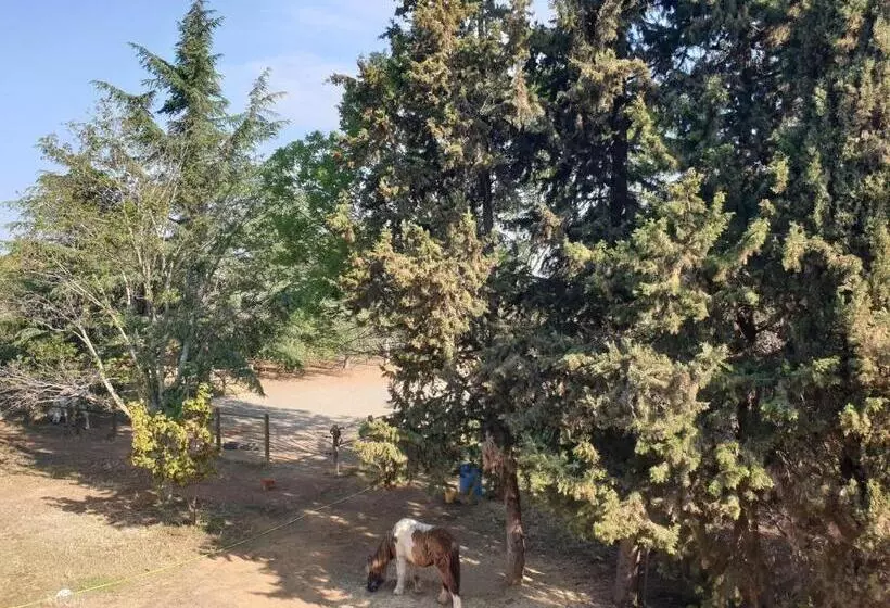 Aamiaismajoitus (B&B) Chambres D Hôtes Dans Propriété Rurale