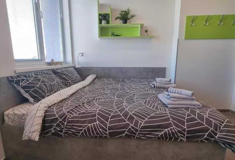 Dorm Bg Pet Friendly Apart