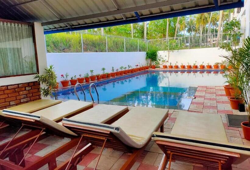 Hotel Dr Nisha S Vedic Remedies