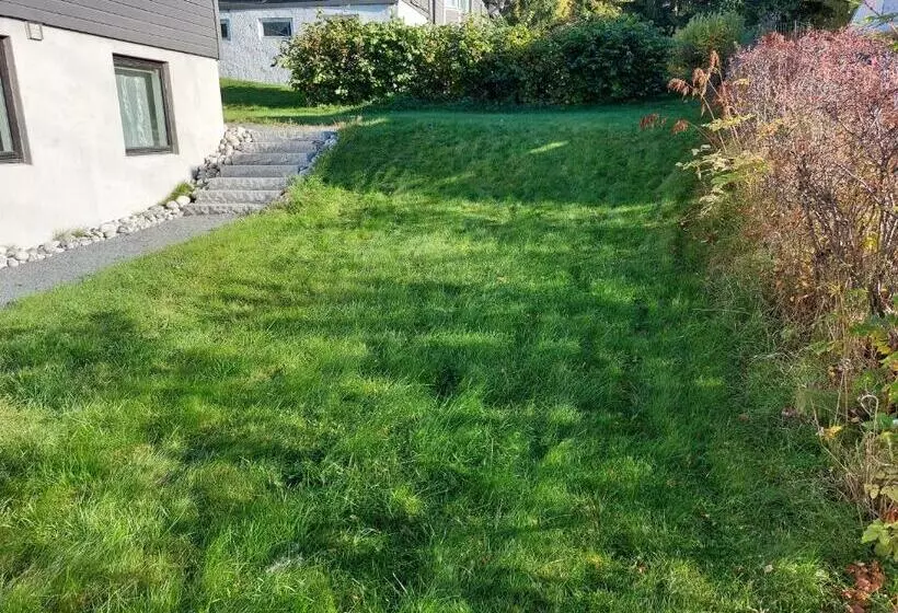 ペンション Peaceful Place