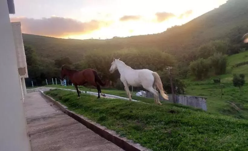 ペンション Pousada Recanto Feliz Carvalhos Mg
