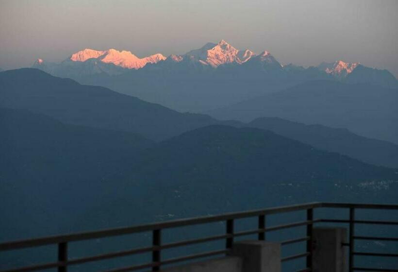 هاستل Delohighs