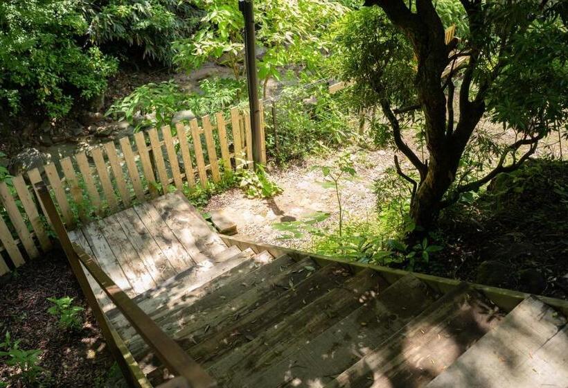 Ashigarashimo Gun   Hotel   Vacation Stay 53649v