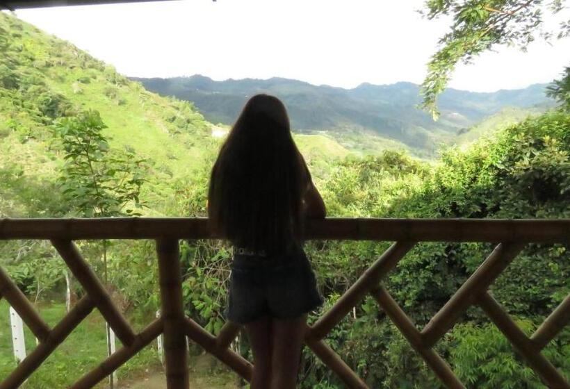 住宿加早餐  Las Cabañas Del Escobo Cabaña Guacamayas