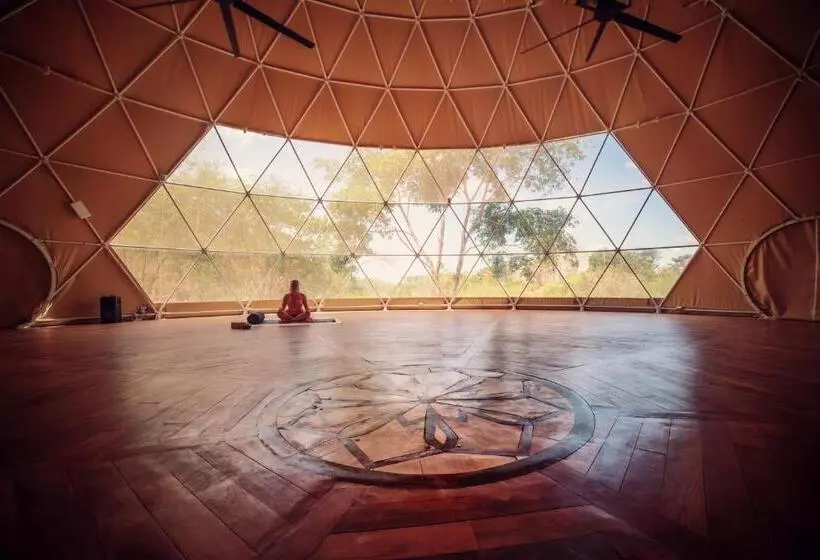 ホテル Alaya Panama