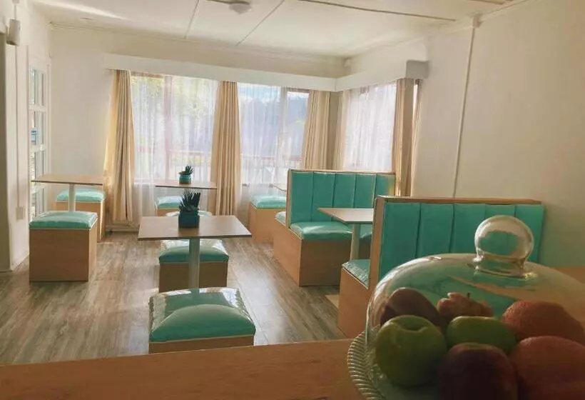 ペンション Indomito Sur Hostel