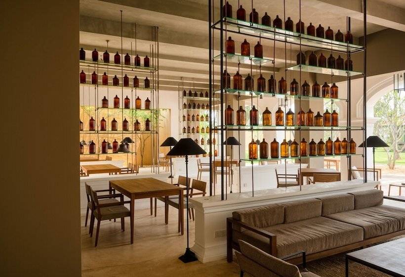 渡假胜地  Kayaam House