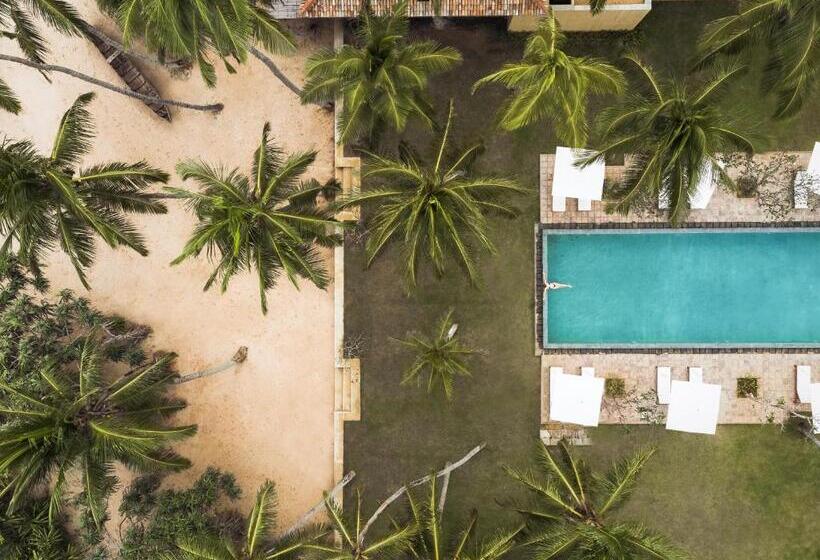 渡假胜地  Kayaam House