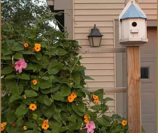 Annville Inn Bed And Breakfast