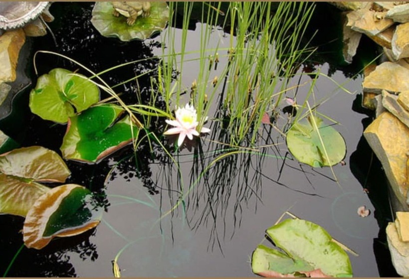 Annville Inn Bed And Breakfast