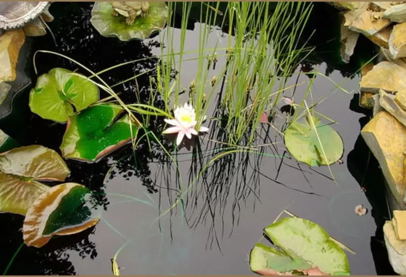 Annville Inn Bed And Breakfast