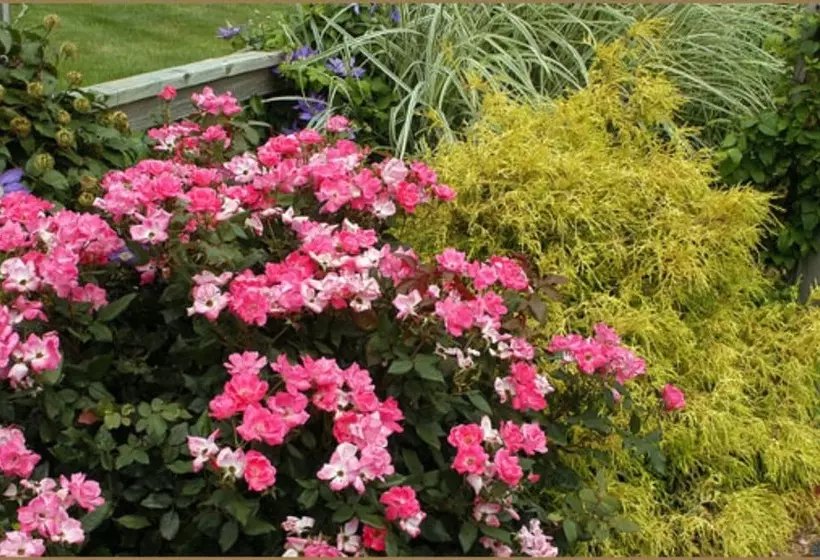 Annville Inn Bed And Breakfast