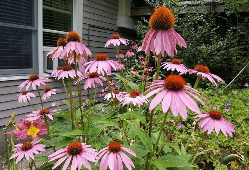 مبيت وإفطار Blackberry Inn