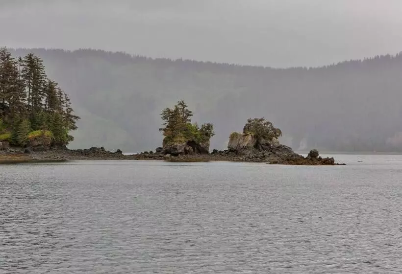 ベッドアンドブレックファースト Sea Parrot Inn