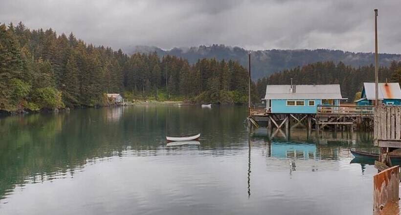 צימר Sea Parrot Inn