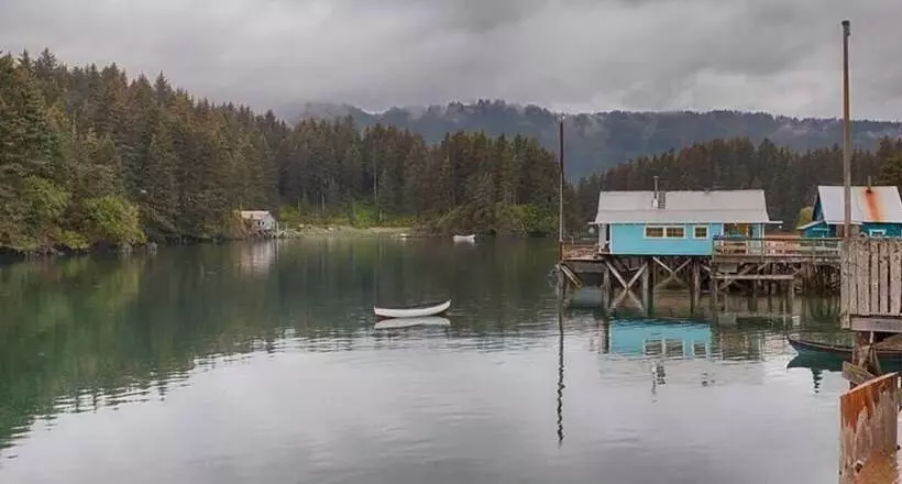 ベッドアンドブレックファースト Sea Parrot Inn