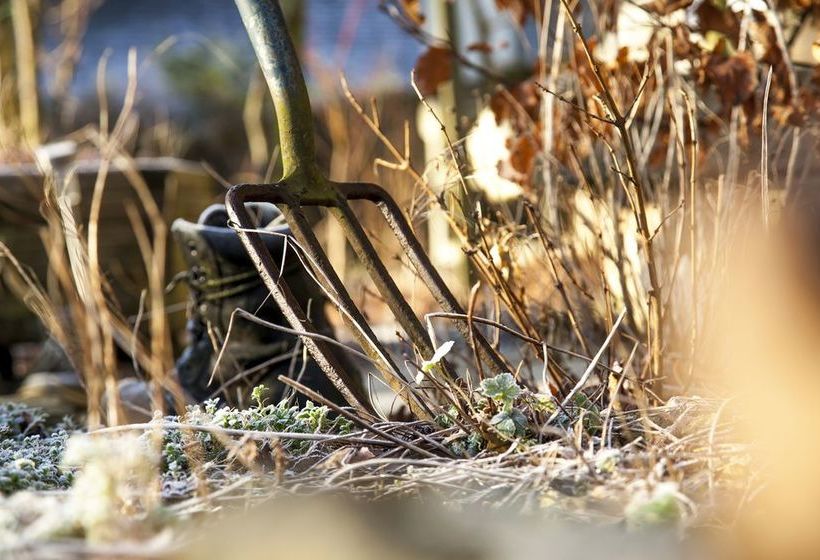 Brookside Villa - B&b