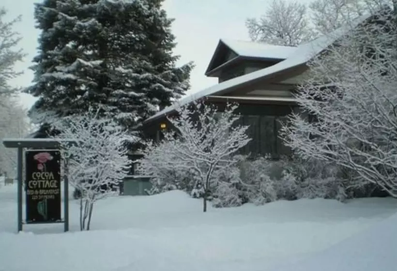 Cocoa Cottage Bed & Breakfast