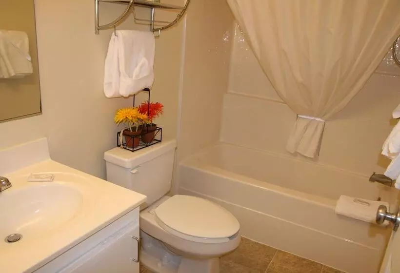 ホテル Affordable Suites Of America Fredericksburg