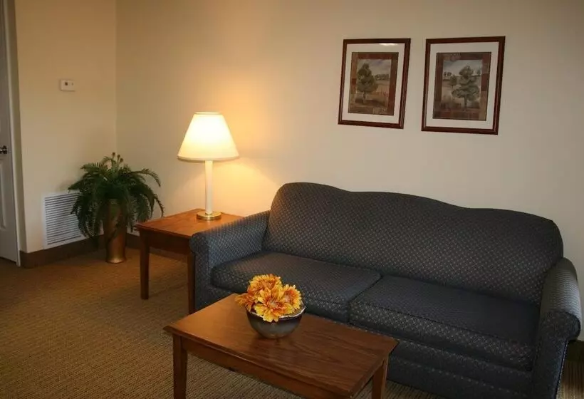 ホテル Affordable Suites Of America Fredericksburg