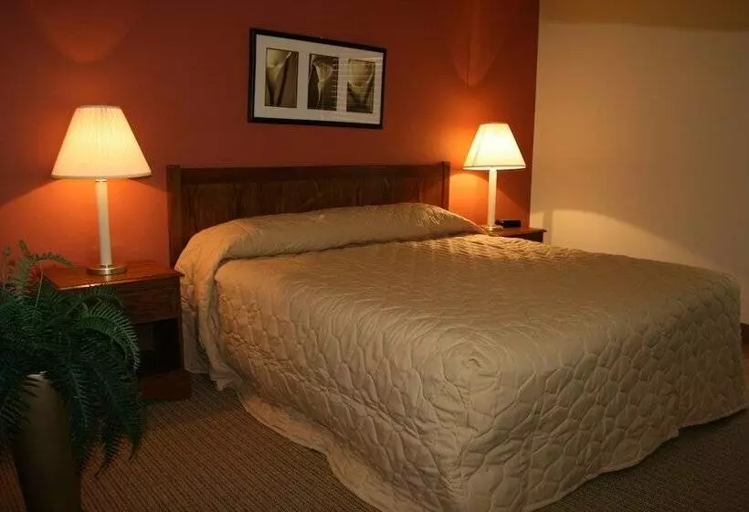 ホテル Affordable Suites Of America Fredericksburg