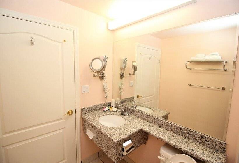 Hotel Crystal Star Inn Edmonton Airport With Free Shuttle To And From Airport