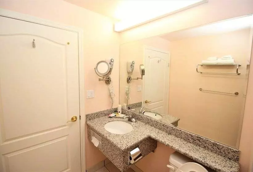 Hotel Crystal Star Inn Edmonton Airport With Free Shuttle To And From Airport