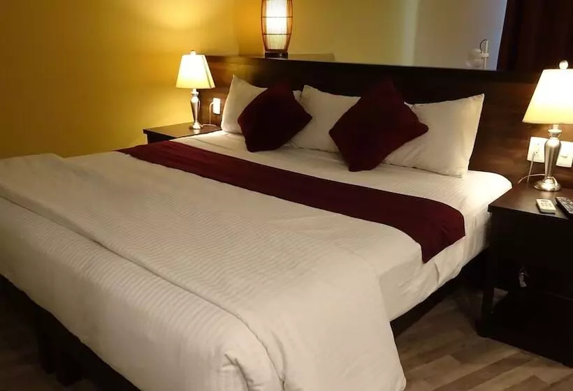 酒店 El Dorado Hermosillo