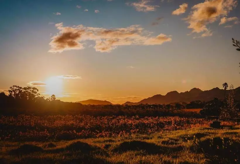 بنسيون Basse Provence Country House