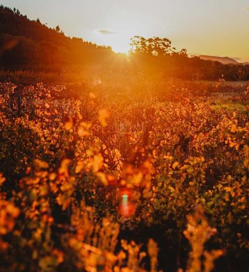 ペンション Basse Provence Country House