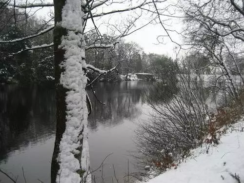 פנסיון Brookhouse Guest House