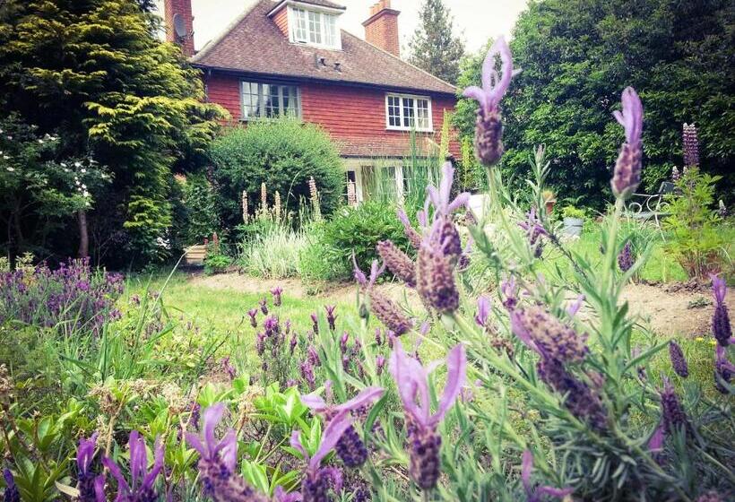 بنسيون Rosemead Guest House