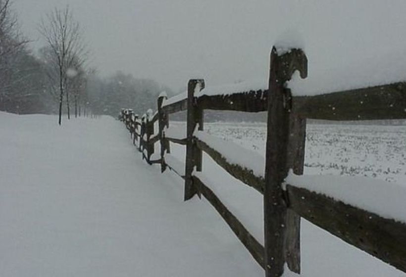 Hertzog Homestead Bed & Breakfast
