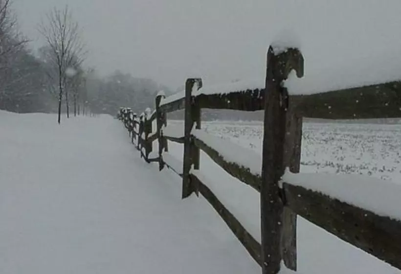 Hertzog Homestead Bed & Breakfast