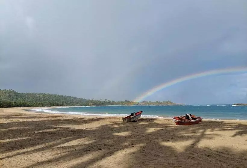 تختخواب و صبحانه Cabana Playa Cambiaso