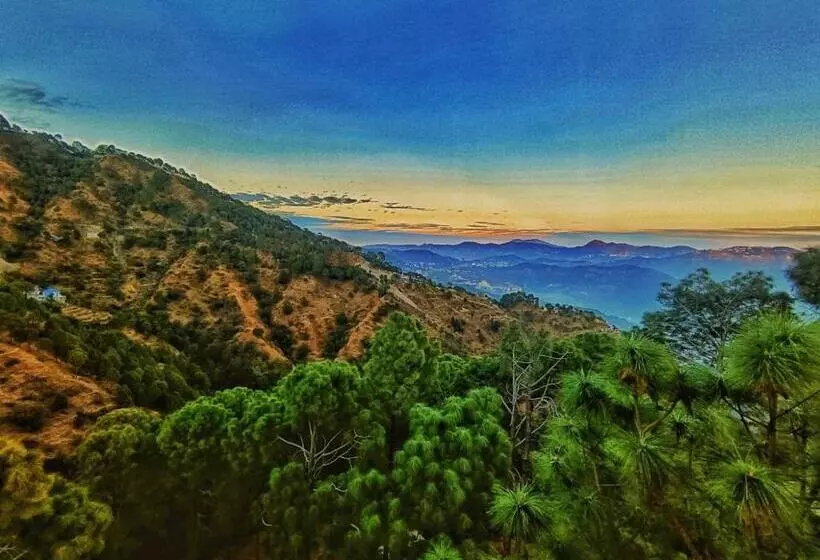 تختخواب و صبحانه The Lalita S Majestic Pines