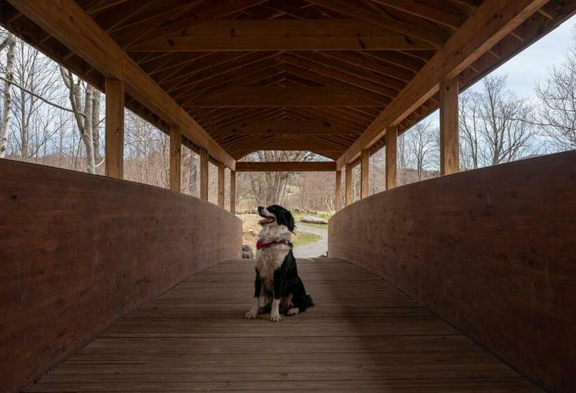 בית מלון כפרי Vienna