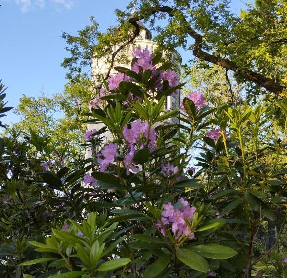 펜션 Chambres D Hôtes La Tour De Bellevue