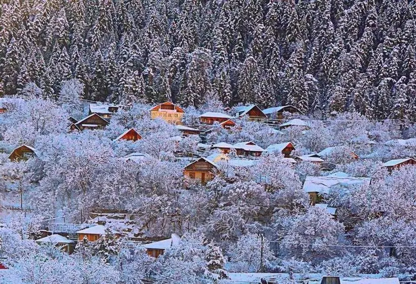 پانسیون Friendly House