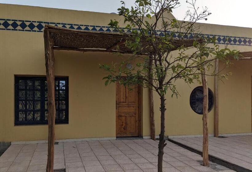 بنسيون Mesdunes